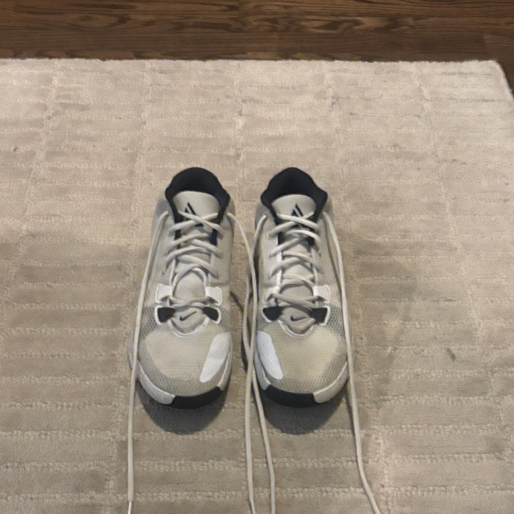 Nike Men’s Zoom Freak 1 Basketball Shoes